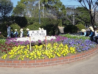 園外保育で城西公園に行きました。