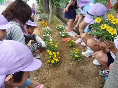 花の苗植え