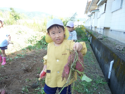 おいもほり