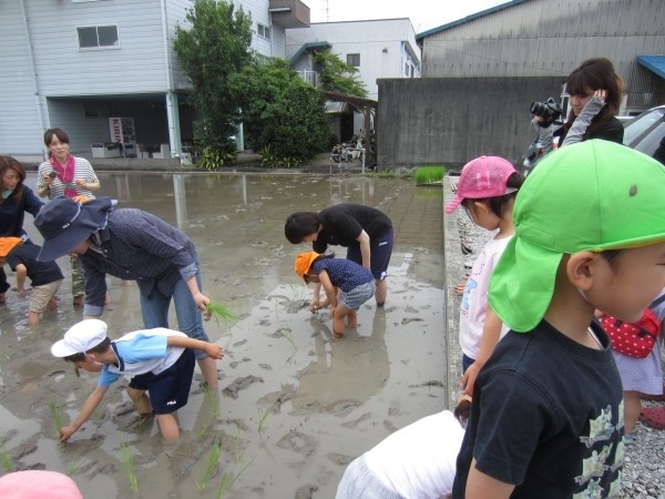 田植えをしました！