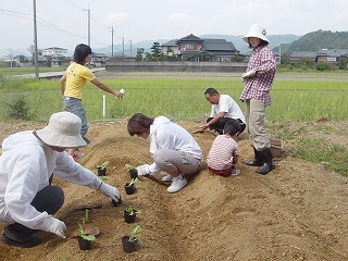 園の畑を手伝ってもらいました。