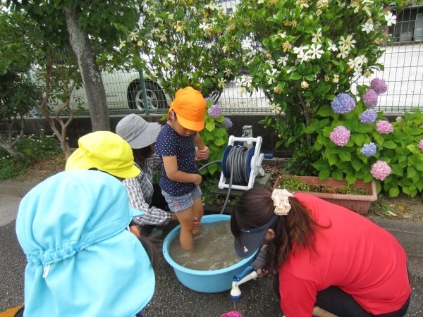 田植えをしました！