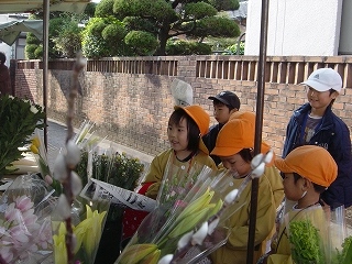 木曜市へ行きました！（たんぽぽ組）