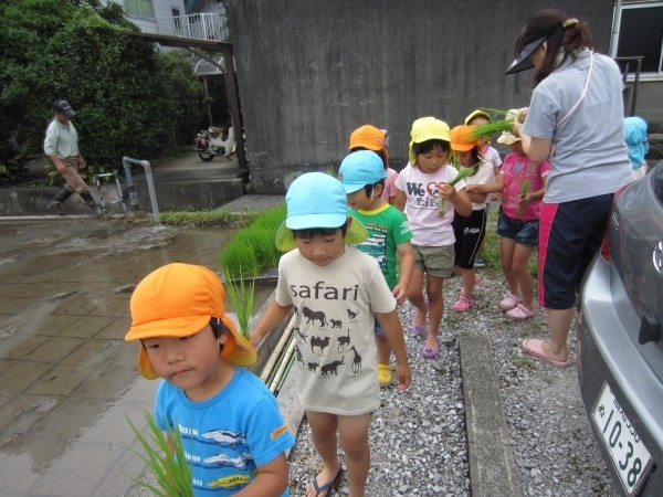 田植えをしました！