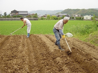 園の畑の畝づくり