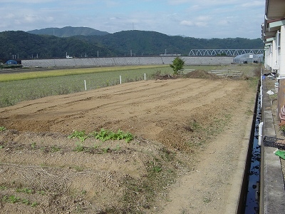 園の畑を耕しました。