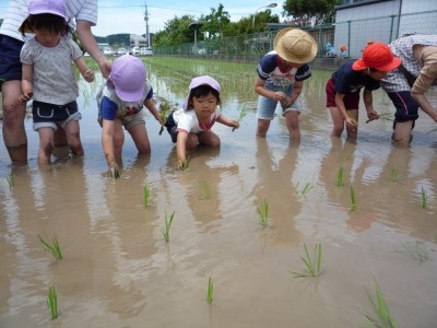 初めての田植え