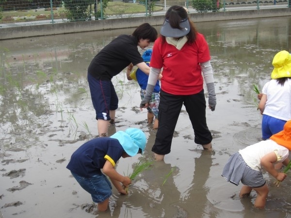 田植えをしました！