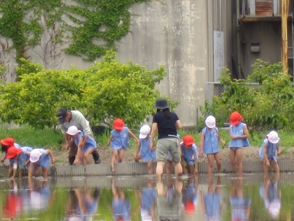 田植えをしました！