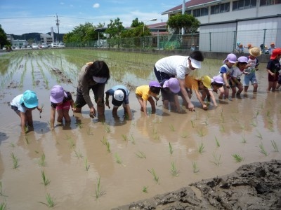 初めての田植え