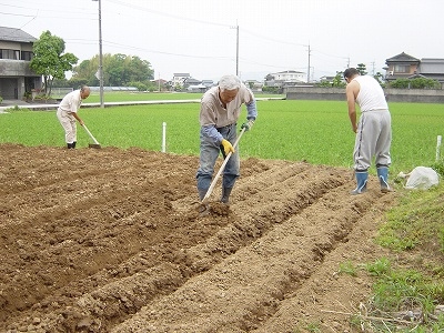 園の畑の畝づくり