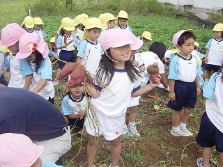 年少組おいもほり