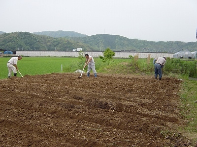 園の畑の畝づくり