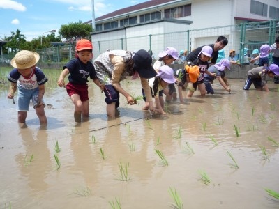 初めての田植え