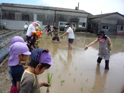 初めての田植え