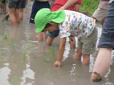 田植え2011.7.1 067.jpg